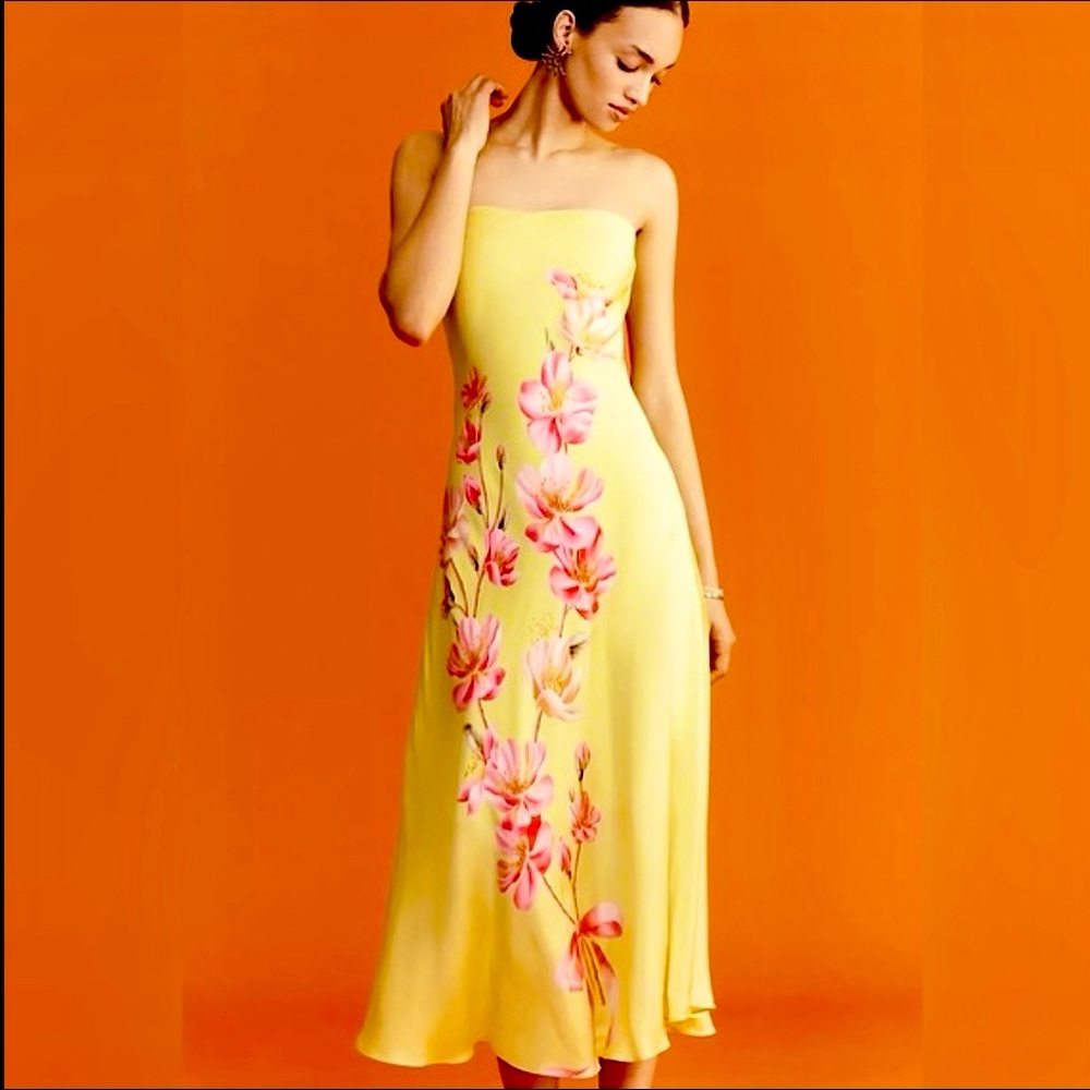 FARM Rio x Anthropologie Strapless Printed Midi Slip Dress Size Large Dirty Hem!